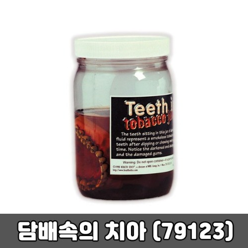 [SY] 담배속의 치아 (79123)