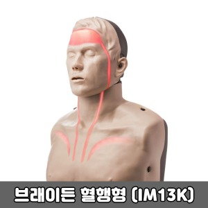 [ 매장출고] [SY] 브레이든 혈행형 (IM13K) CPR마네킹 심폐소생마네킹 브래이든