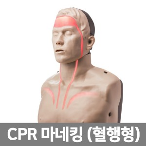 [SY] 7대안전교육 CPR 심폐소생술 마네킹 브래이든 혈행형 (IM13K)