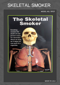 [금연교육]Skeletal Smoker 79707